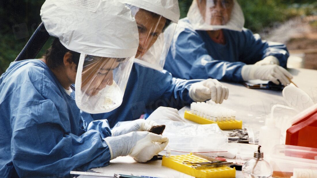 CDC kaynaklı halk sağlığı laboratuvarı ve numune inceleme görseli