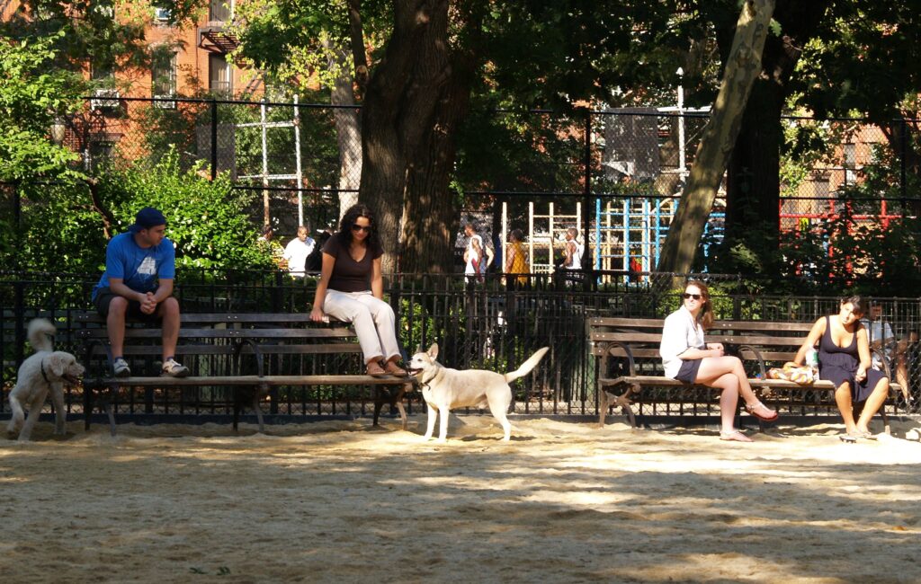 Tompkins Square Park Dog Run alanında köpek sahipleri