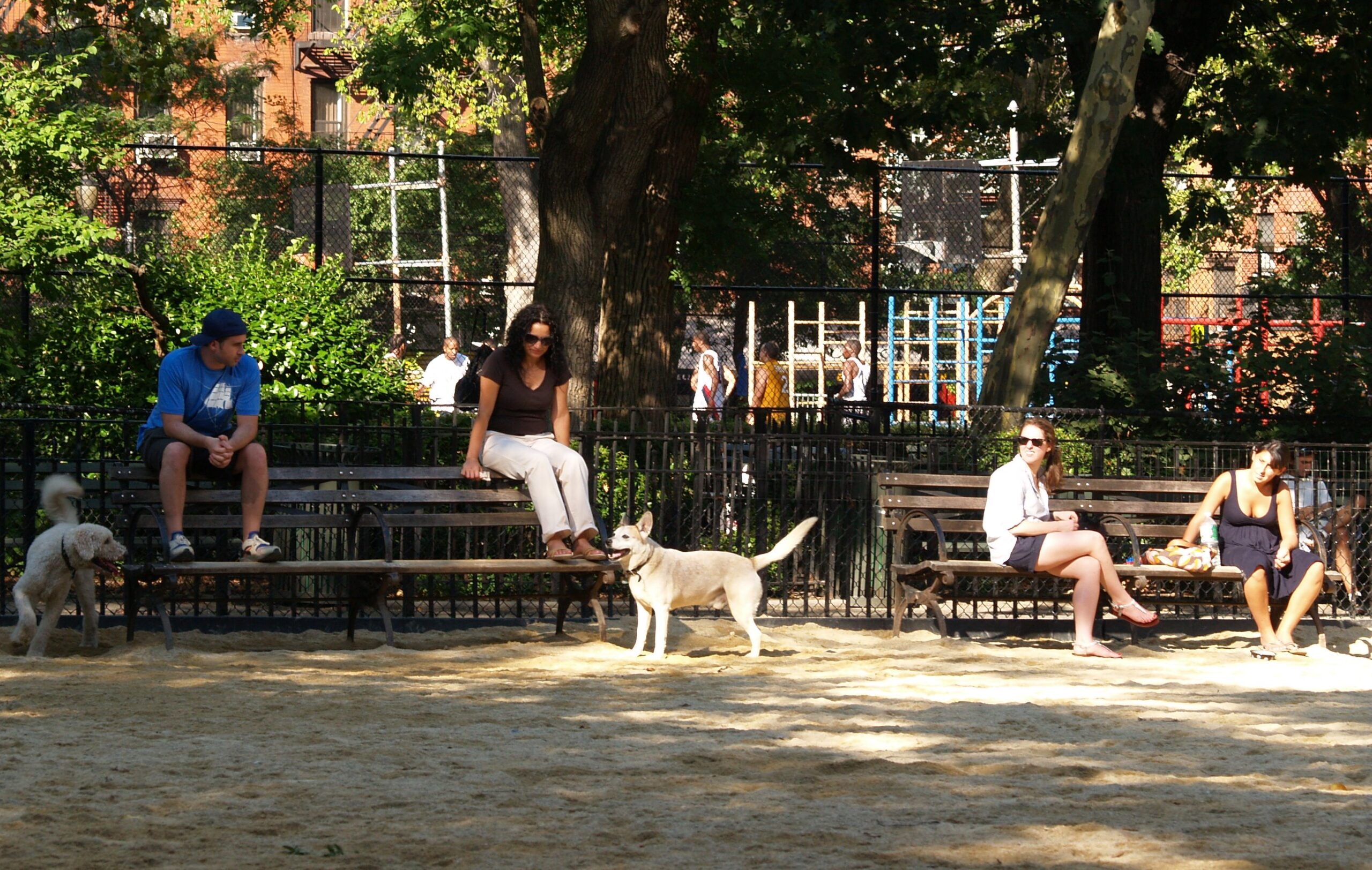 Tompkins Square Park Dog Run alanında köpek sahipleri