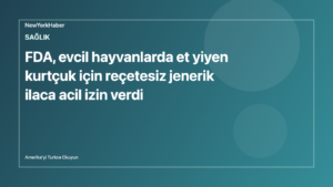 Temsili editoryal görsel: veterinerlik ilacı ve evcil hayvan sağlığı.