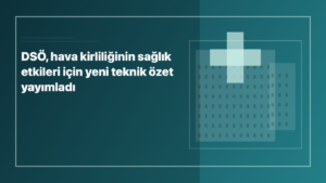 Temsili editoryal görsel: DSÖ, hava kirliliğinin sağlık etkileri için yeni teknik özet yayımladı