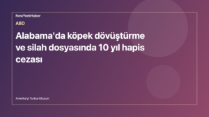 Temsili editoryal görsel: Alabama'da köpek dövüştürme ve silah dosyasında 10 yıl hapis cezası
