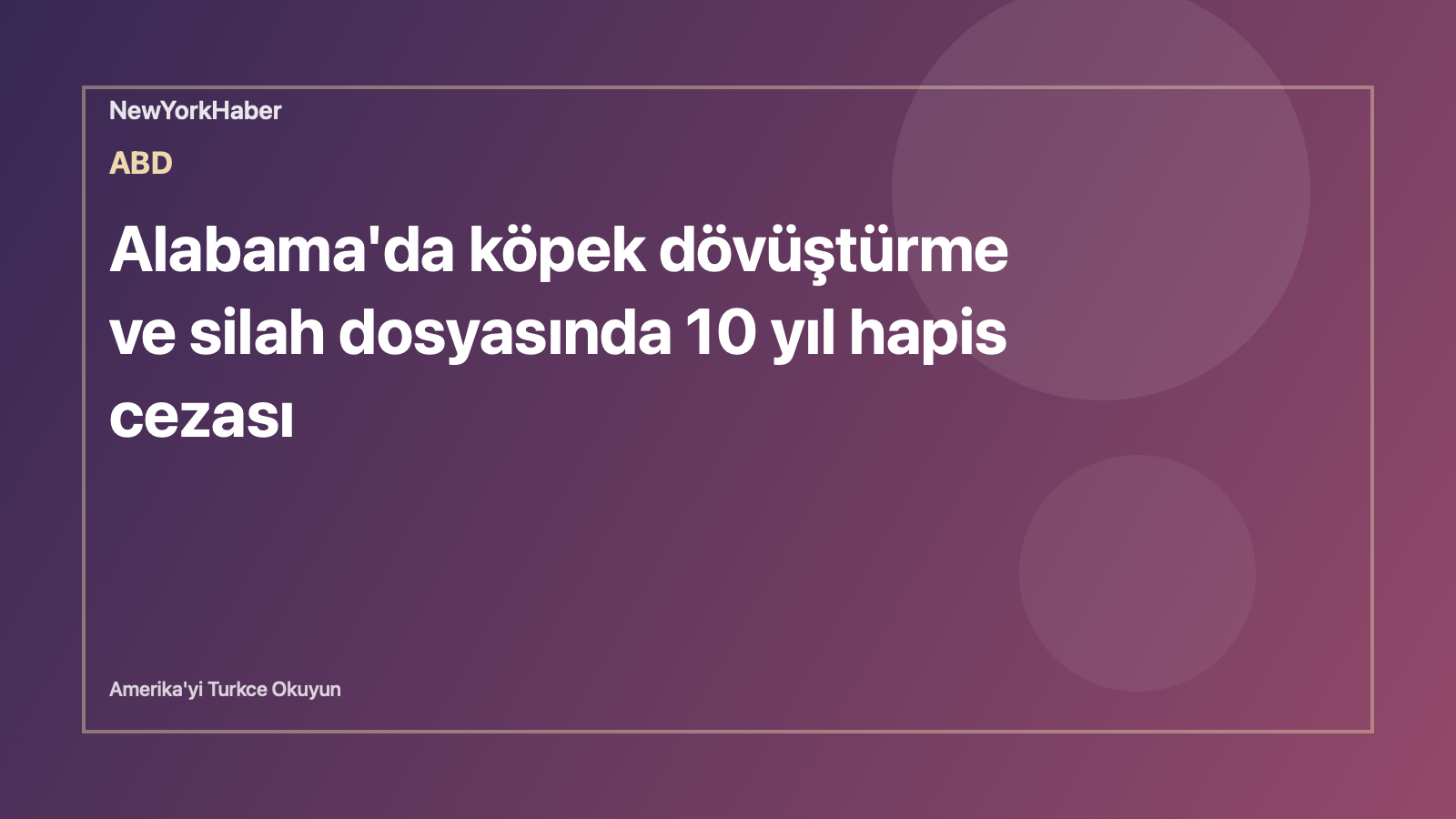 Temsili editoryal görsel: Alabama'da köpek dövüştürme ve silah dosyasında 10 yıl hapis cezası