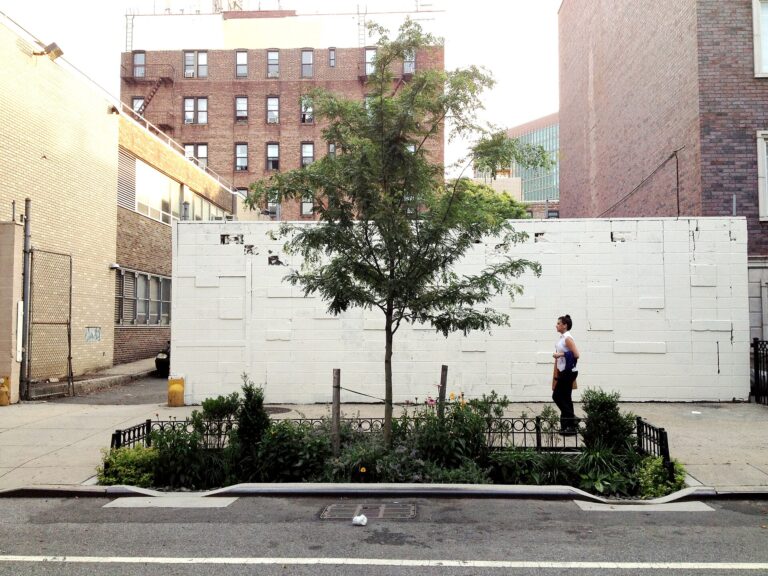 Brooklyn’de bir caddede yağmur suyunu emen biyoswale (yeşil altyapı) uygulaması (temsili).