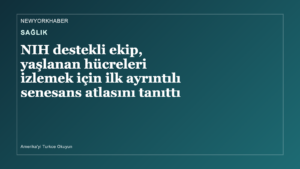 Sağlık haberi için NewYorkHaber tarafından üretilen özgün kapak görseli.