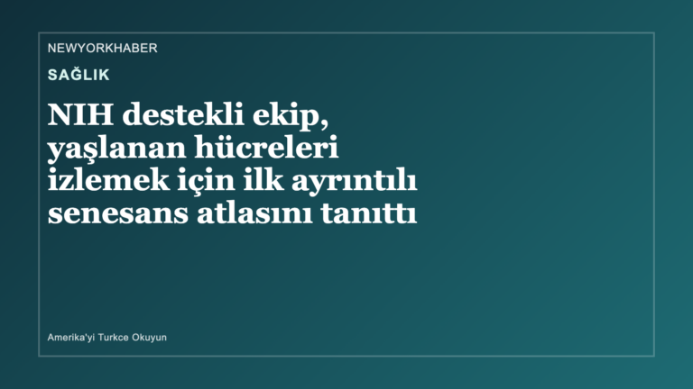 Sağlık haberi için NewYorkHaber tarafından üretilen özgün kapak görseli.