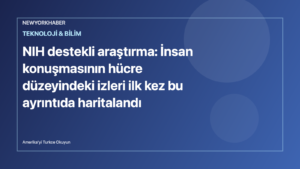 Temsili editoryal görsel: beyin sinyalleri, konuşma dalgaları ve yapay zeka analizi.
