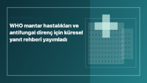 Temsili editoryal görsel: WHO mantar hastalıkları ve antifungal direnç için küresel yanıt rehberi yayımladı