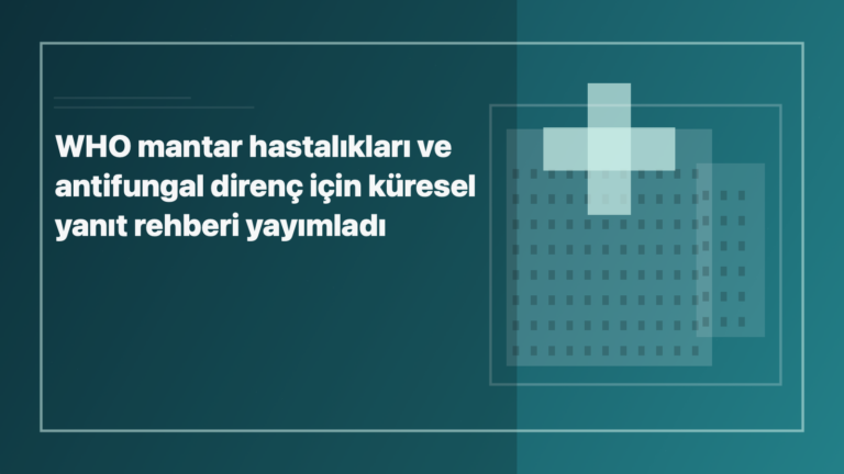 Temsili editoryal görsel: WHO mantar hastalıkları ve antifungal direnç için küresel yanıt rehberi yayımladı