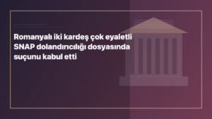 Temsili editoryal görsel: Romanyalı iki kardeş çok eyaletli SNAP dolandırıcılığı dosyasında suçunu kabul etti