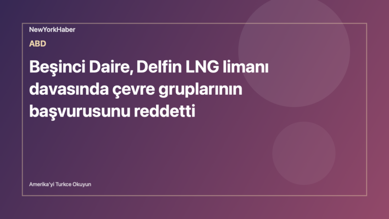 Temsili editoryal görsel: Beşinci Daire, Delfin LNG limanı davasında çevre gruplarının başvurusunu reddetti